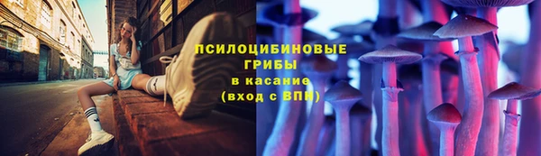 мескалин Арсеньев