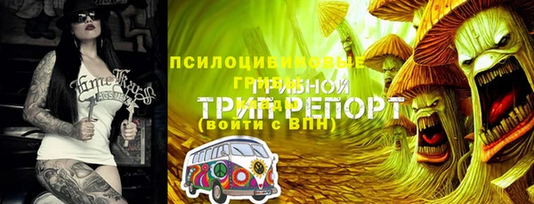 мескалин Арсеньев