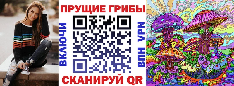 площадка официальный сайт  Кирово-Чепецк  Псилоцибиновые грибы Psilocybe 
