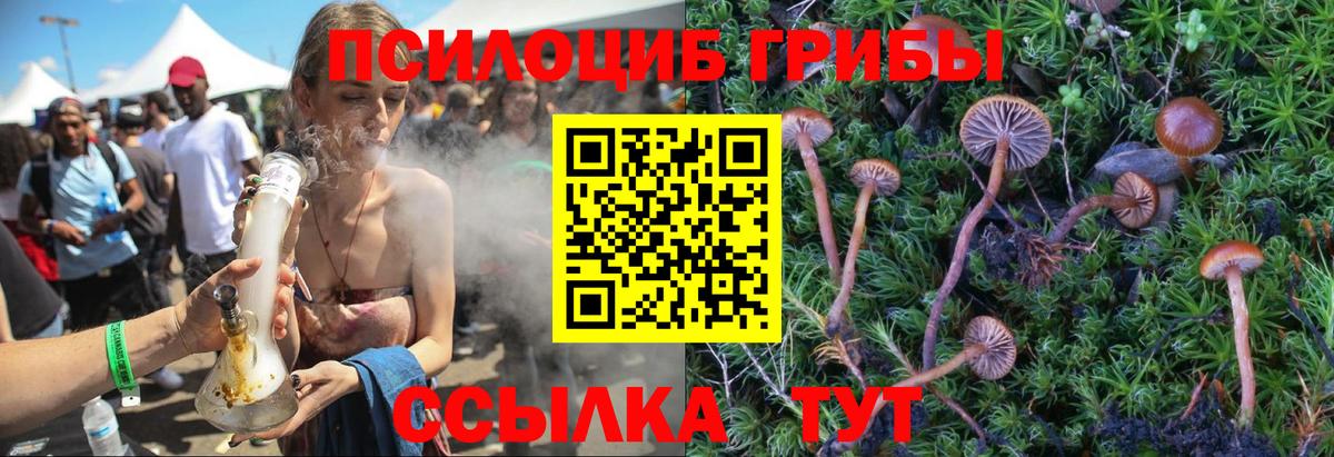Кирово-Чепецк  Псилоцибиновые грибы GOLDEN TEACHER  Вход с VPN 